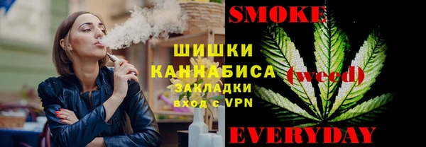 гидра Кулебаки