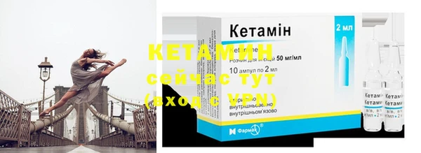 гидра Кулебаки