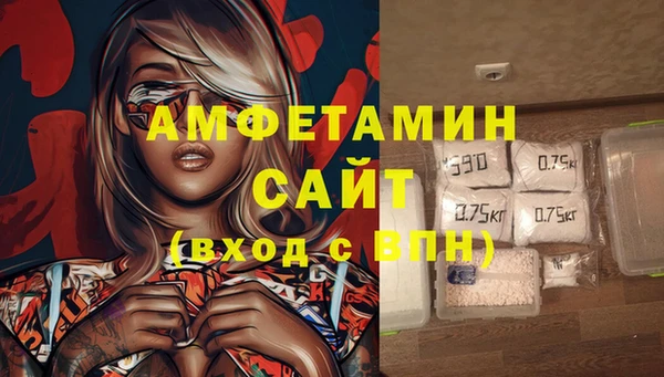 гидра Кулебаки