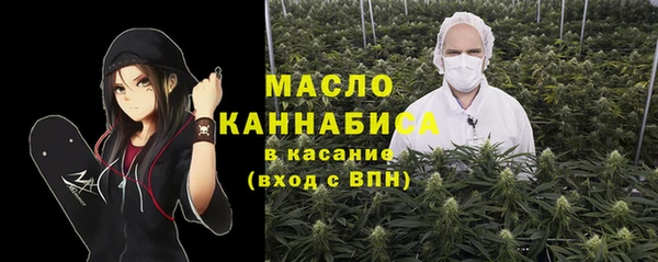 гидра Кулебаки