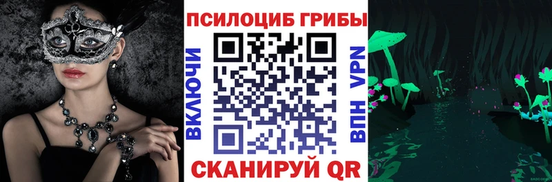 кракен как войти  маркетплейс Telegram  Псилоцибиновые грибы Psilocybe  Очёр 