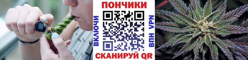 Канабис гибрид  Очёр 
